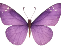 jpeg__4_-removebg-preview jpeg__4_-removebg-preview