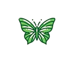 papillon_vert-removebg-preview papillon_vert-removebg-preview